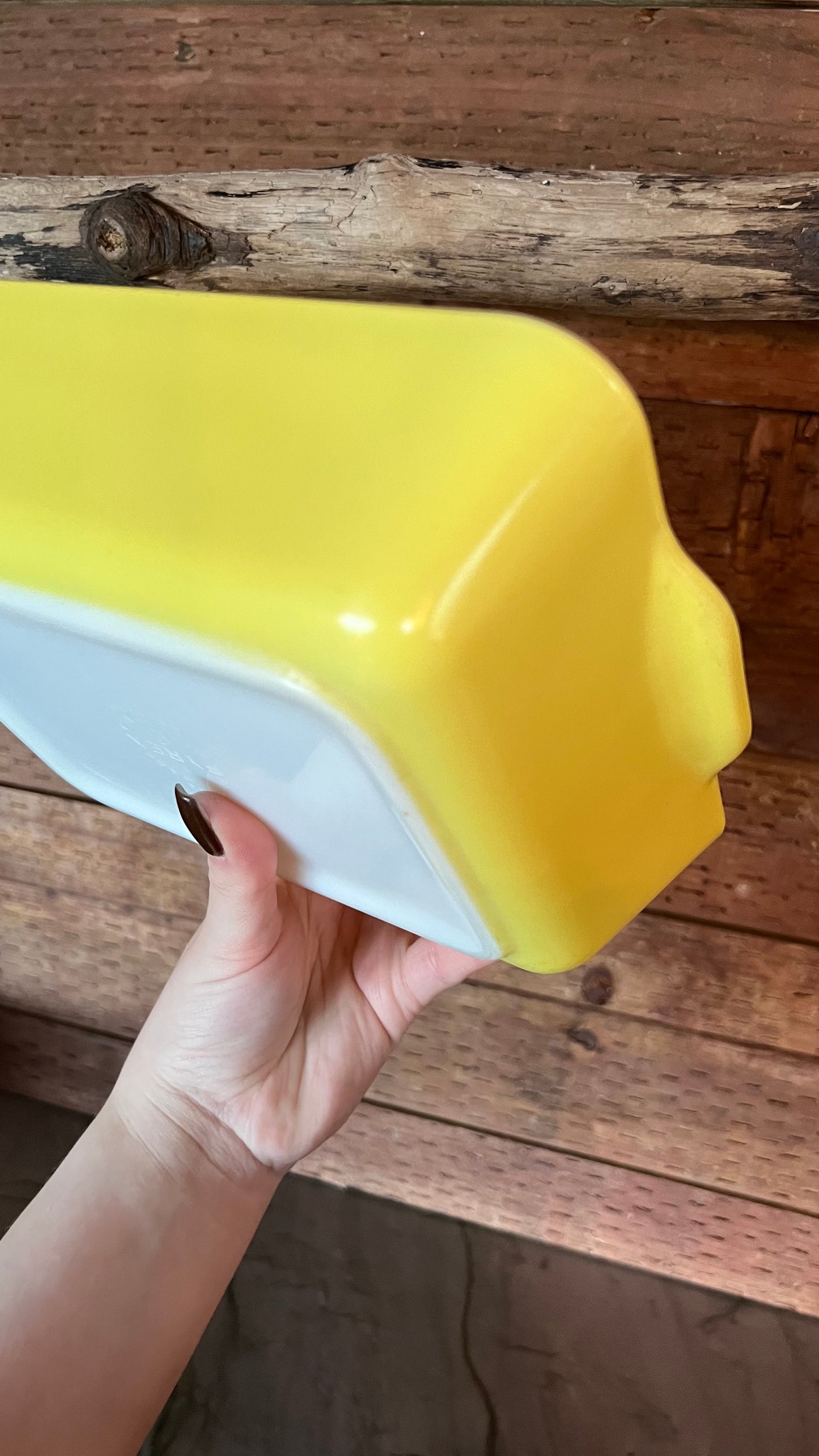 Pyrex Primary Refrigerator Dish