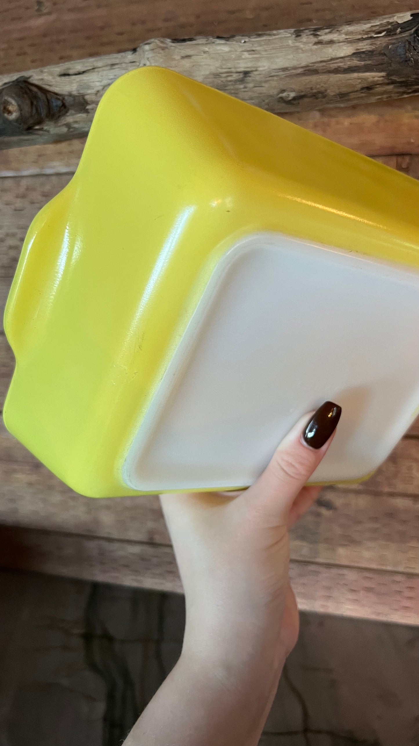 Pyrex Primary Refrigerator Dish