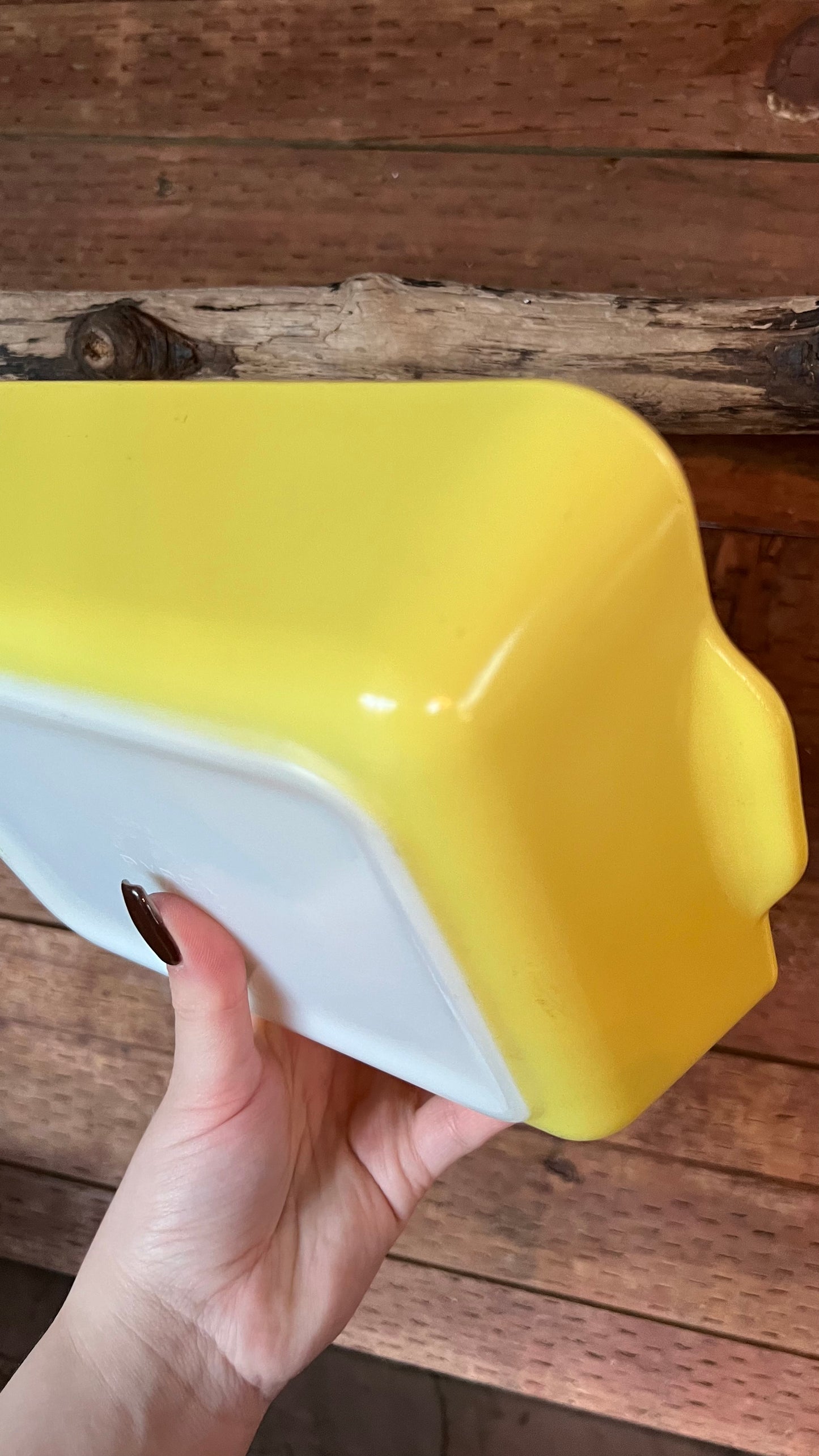 Pyrex Primary Refrigerator Dish