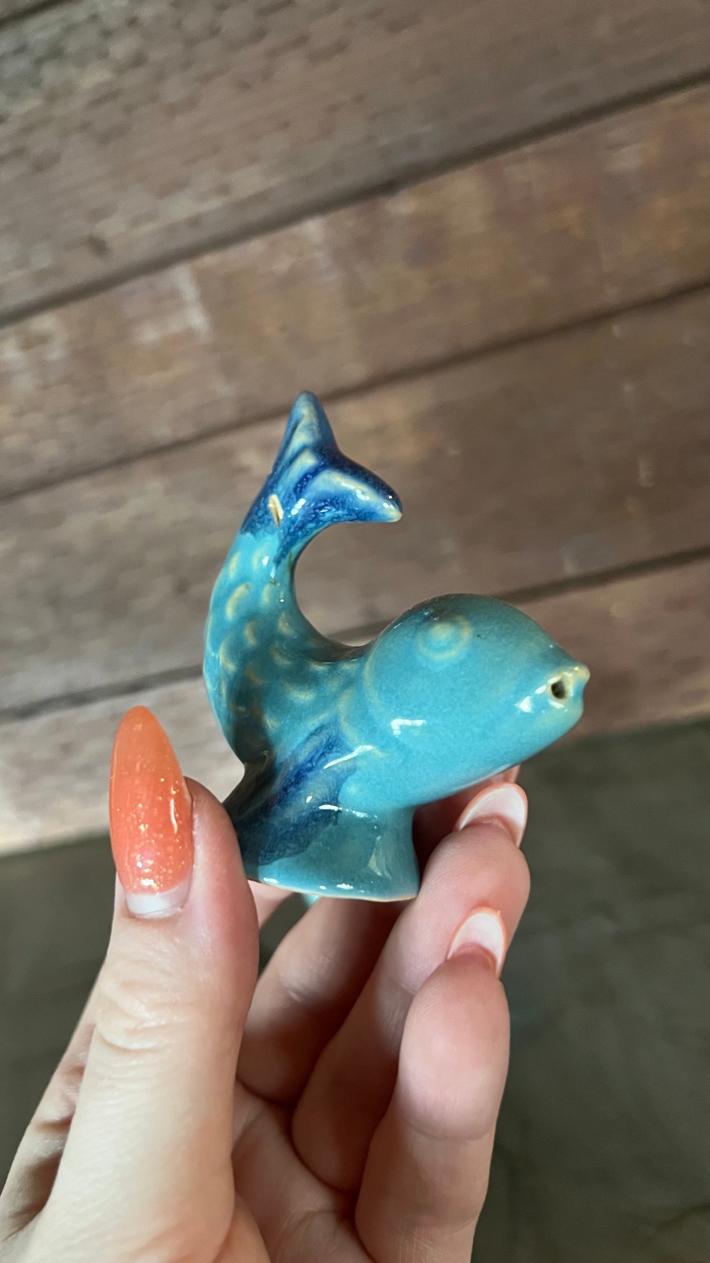 Rosemeade Fish Salt and Pepper Shakers