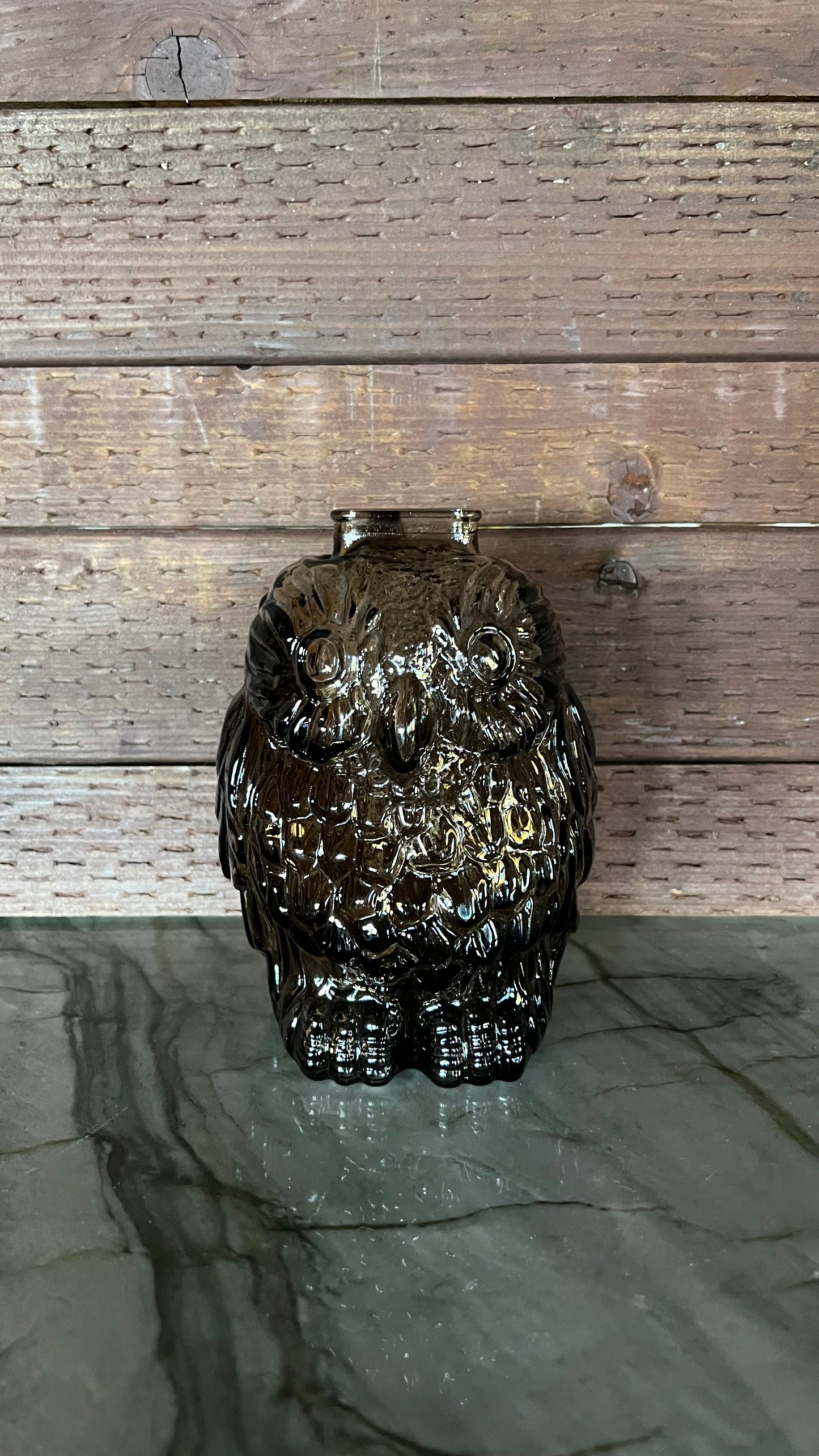 Libbey Wise Old Owl Coin Bank